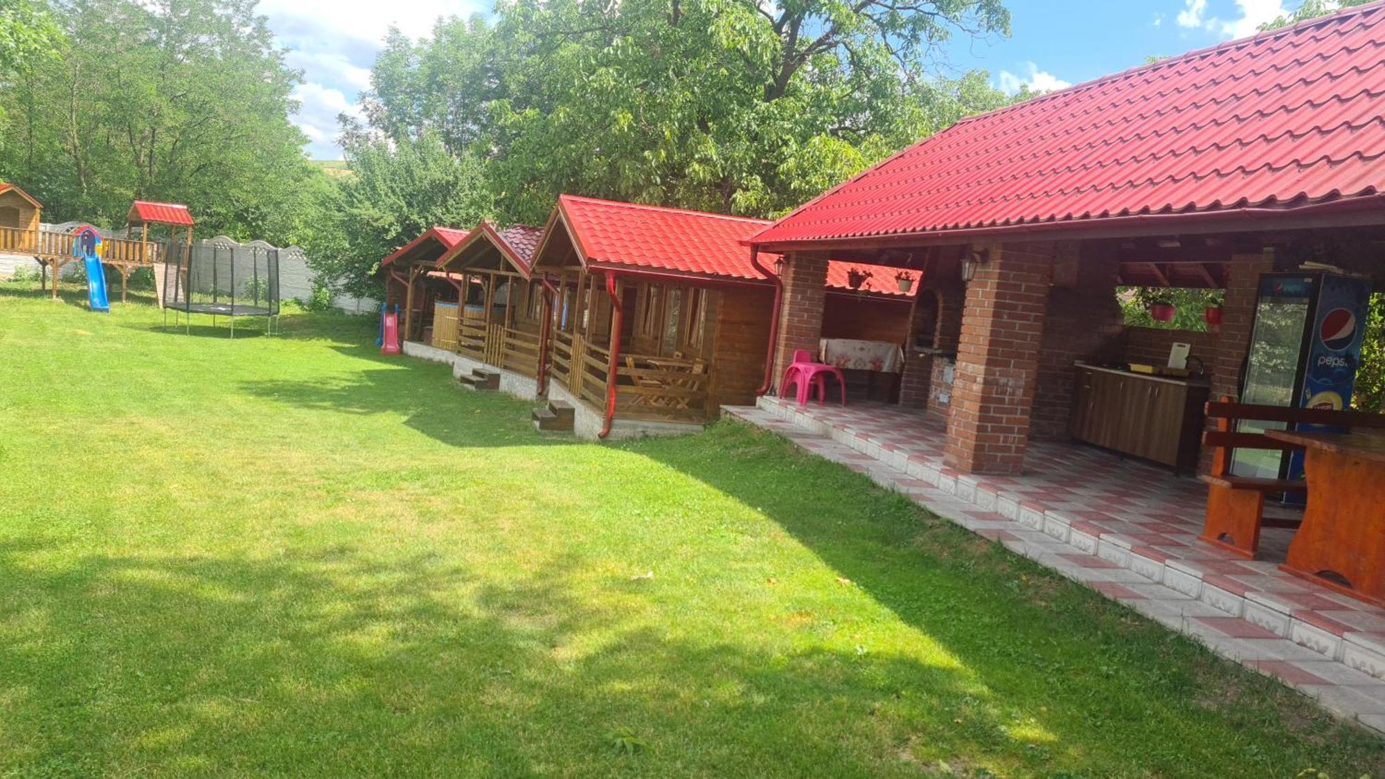 Cabanutele Din Lemn Villa Chiscau Exterior photo